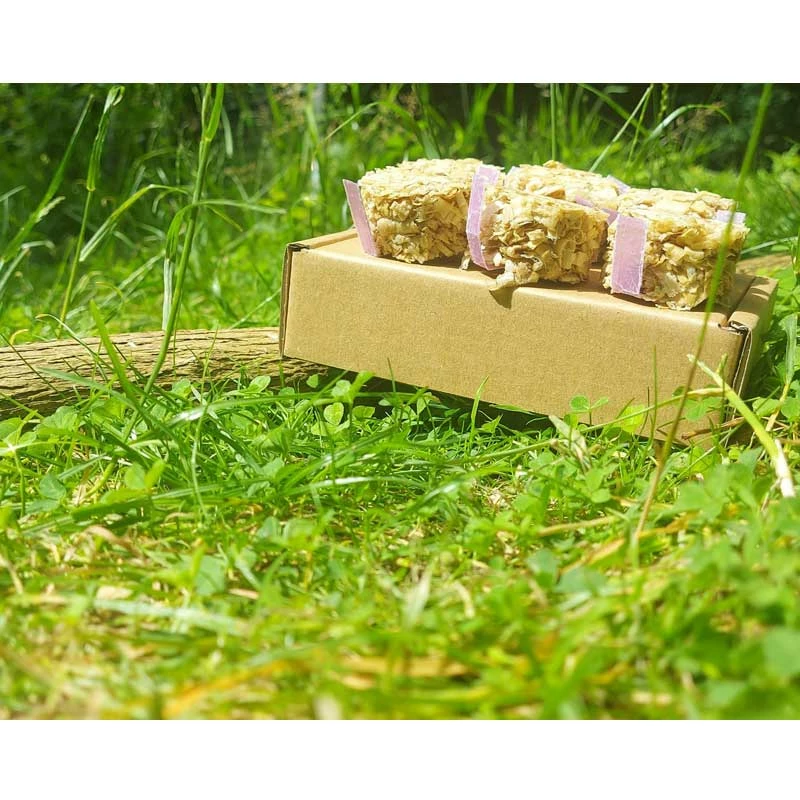 Contain The Flame Eco-Fire Starters 18 Box Hiking