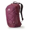 Gregory Kiro 22 Day Pack - Purple Backpacks
