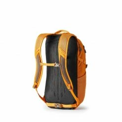 Backpacks Gregory Ba Essential Hiking Nano 20 Rucksack - Burnt Amber