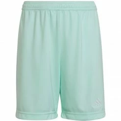 Climawarm Adidas Junior Entrada 22 Shorts - Blue