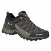 Footwear Salewa Womens Mountain Trainer Lite GTX Trekking Shoes - Brown