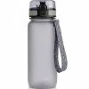 Meteor 650 ML Water Bottle - Gray Hiking