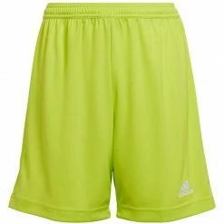 Adidas Junior Entrada 22 Shorts - Lime Climawarm