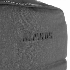 Alpinus Basel 25 Backpack - Gray