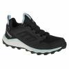 Adidas Terrex Womens Agravic GTX Shoes - Black Footwear
