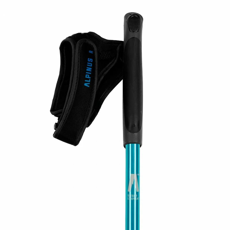 Alpinus Lysefjord Nordic Walking Poles - Blue