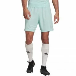 Adidas Mens Entrada 22 Shorts - Blue Outdoor Clothing