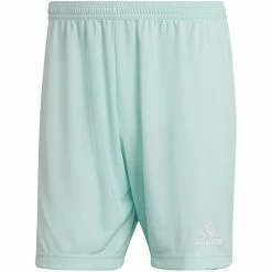 Adidas Mens Entrada 22 Shorts - Blue Outdoor Clothing