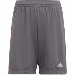 Adidas Junior Entrada 22 Shorts - Gray Climawarm