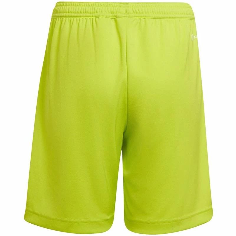 Adidas Junior Entrada 22 Shorts - Lime Climawarm