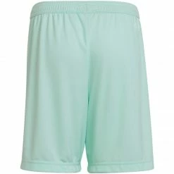 Climawarm Adidas Junior Entrada 22 Shorts - Blue